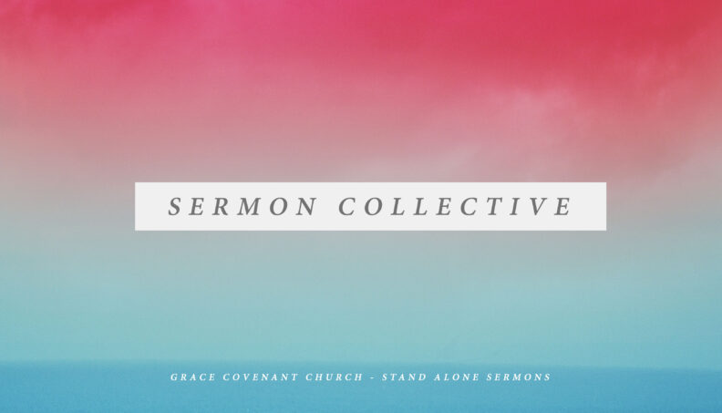 Sermon Collective - November 12-26, 2023